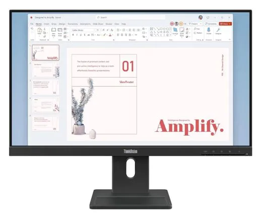 Lenovo ThinkVision E24-40 23.8'/24' 100Hz FHD IPS Monitor